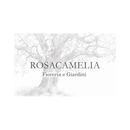 Rosacamelia